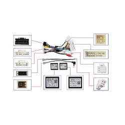 CABLE DE CAJA CANBUS