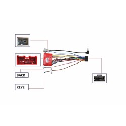 CABLE DE CAJA CANBUS