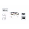 CABLE DE CAJA CANBUS