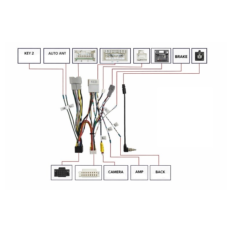 CABLE DE CAJA CANBUS
