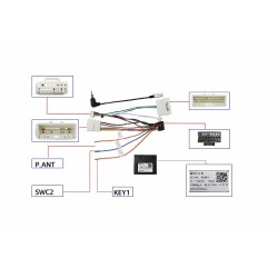CABLE DE CAJA CANBUS