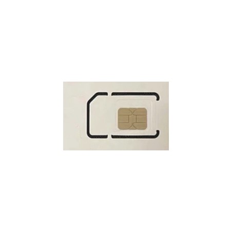 WLSIMGPS IGLA TARJETA TELEFONICA  GPS